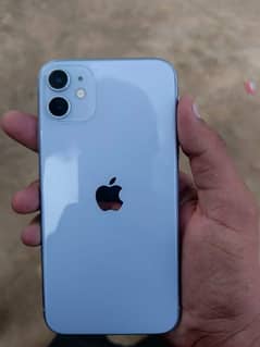 iphone 11 lush condition  10 by 10