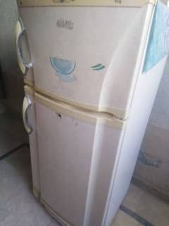 pel fridge for sale