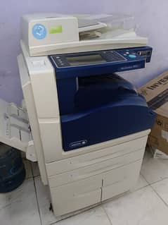 Xerox 5955