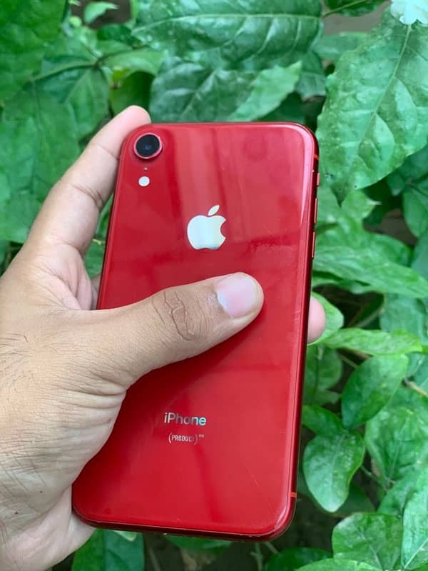 iphone xr 4