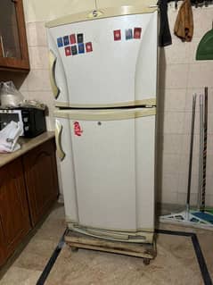 PEL 2 door Refrigerator