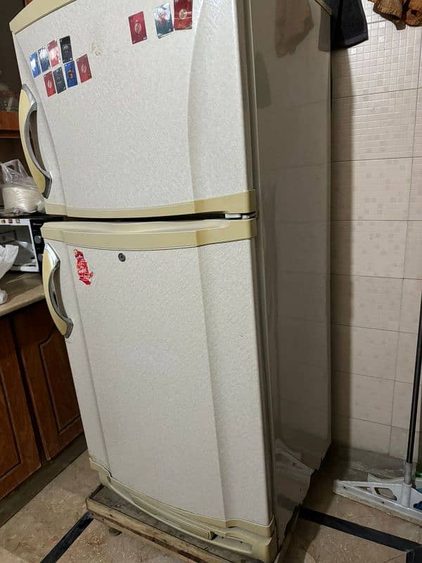 PEL 2 door Refrigerator 2