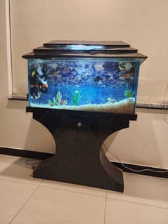 Aquarium