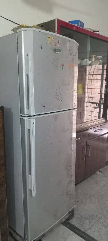 jumbo-sized Haier refrigerator [immediately available] 1