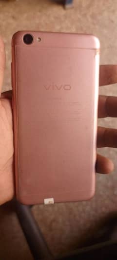 vivo