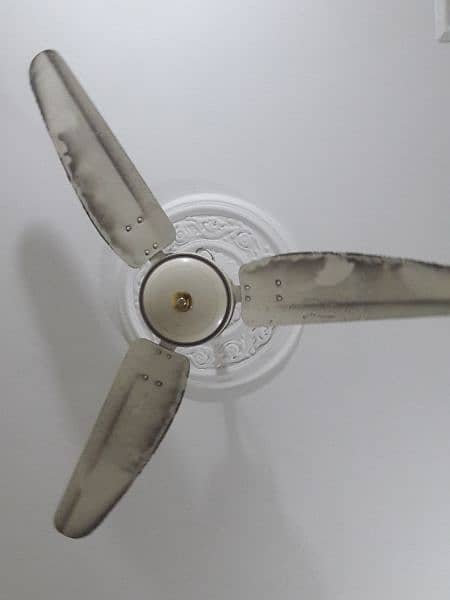 Royal fan pure copper good condition 0