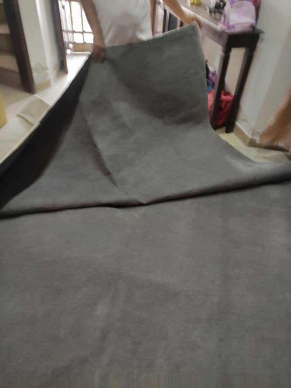 Carpet in good condition 0