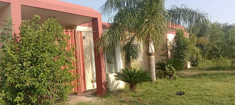 5 Marla House With Extra Land On The Front For Sale In Lilly-D, DHA Homes Islamabad 4