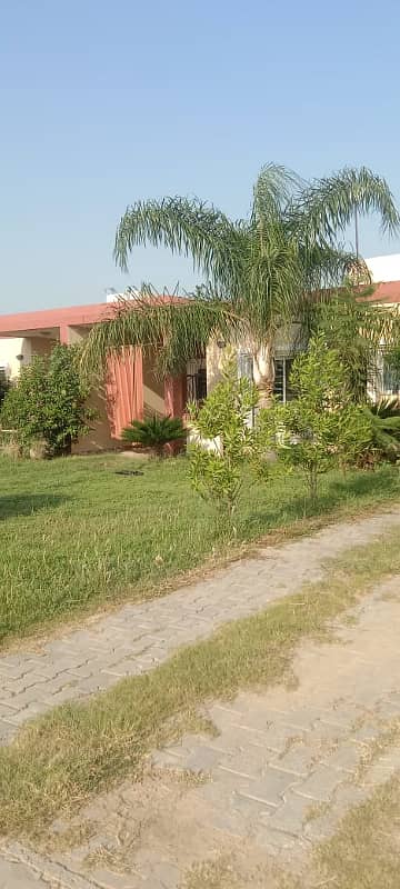 5 Marla House With Extra Land On The Front For Sale In Lilly-D, DHA Homes Islamabad 9