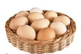 Dasi eggs for sale