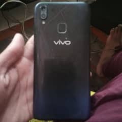 vivo