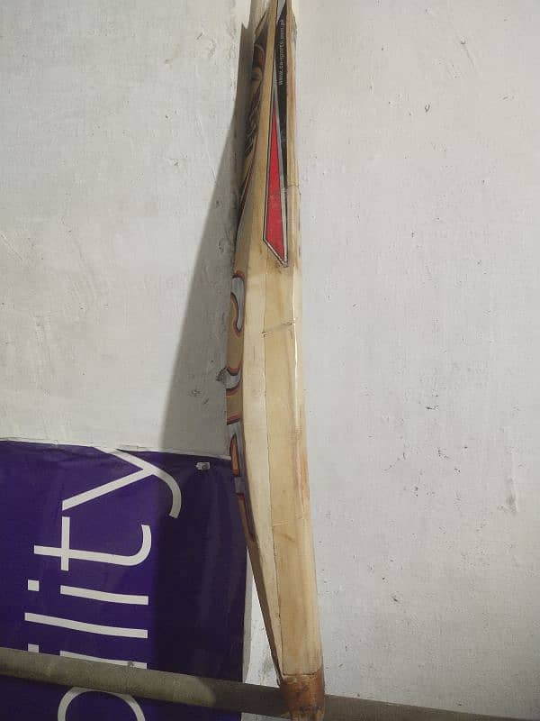 CA 15000 player Edition Bat 4