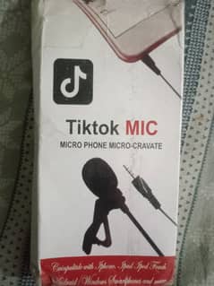 TikTok mic