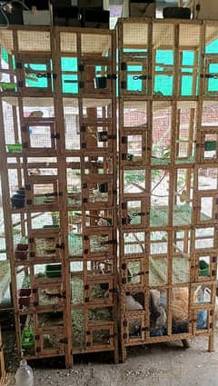 wooden cages for sale