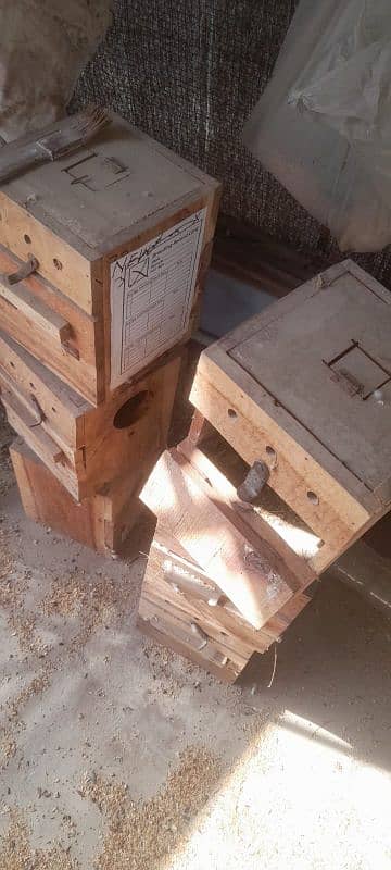 cage and breeding box double side door option for sale 2