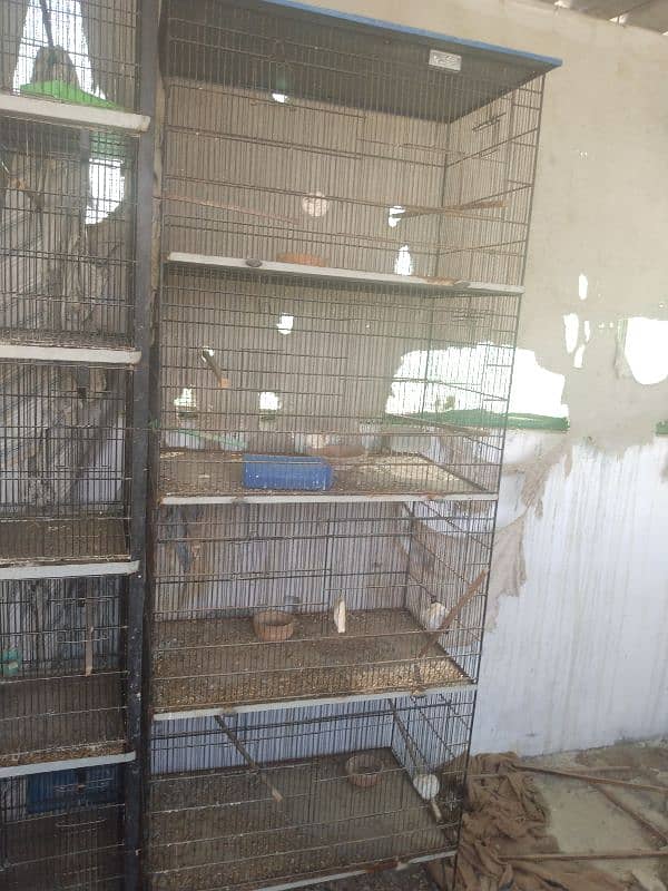 cage and breeding box double side door option for sale 4