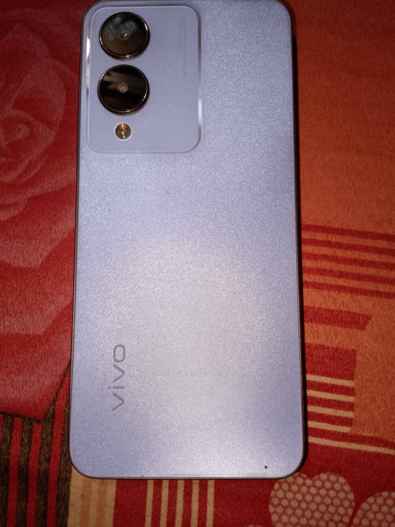 Vivo y17s 0