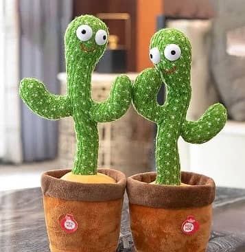 Dancing Cactus free delivery  03019270829 watsapp 0