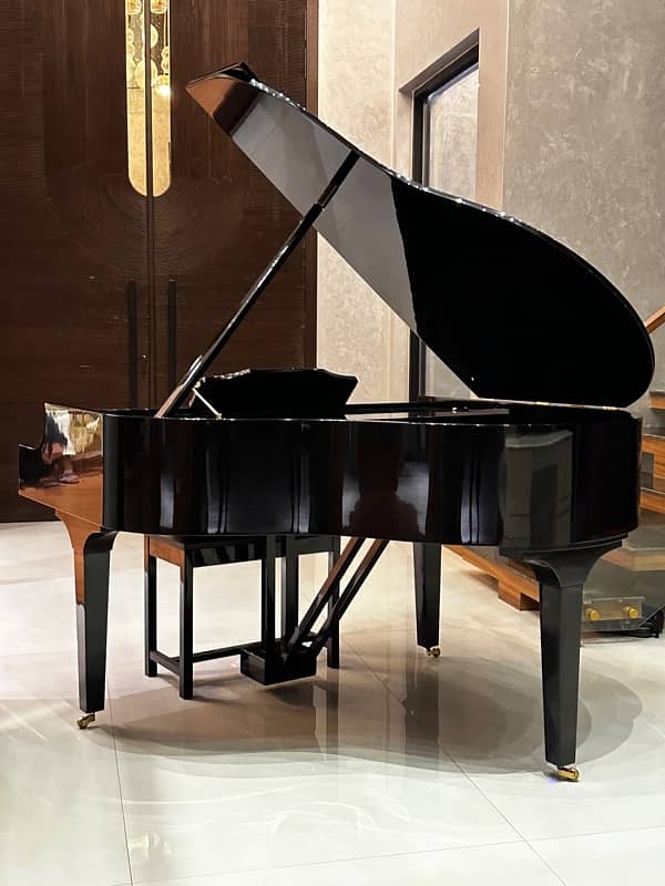 Bassclef Grand Piano/Grand Piano/pool table/sofa/billiards/keyboards 13