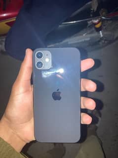 IPHONE 11 non pta no (jv)