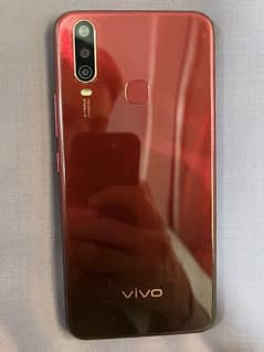 Vivo