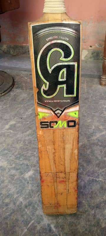 cricket bat 1