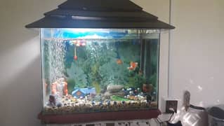 Fish Aquarium For Sale. . . .