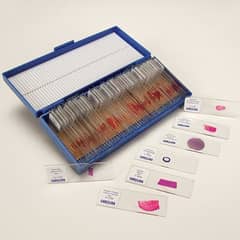 Histology Prepared Biological Slides Set of 100 Slides Carolina