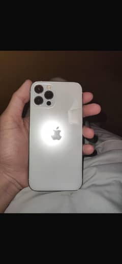 iPhone 12 Pro white