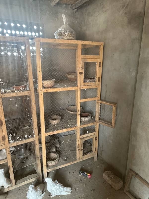 3 portion cage for sale 2