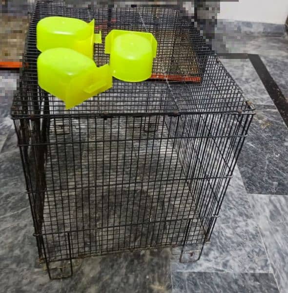 Bird cages for sale with breeding boxs 13