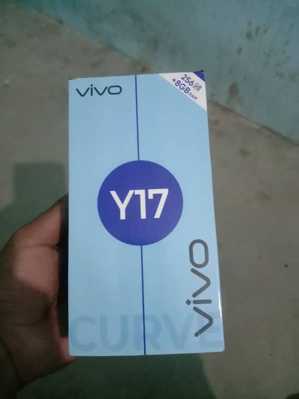 Vivo y 17 8 GB RAM 256 memory bux charger 1