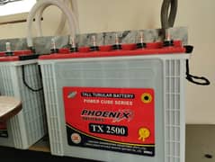 4 tall tubular battery TX 2500