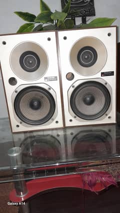 Technics Sb- X1 2 way speaker