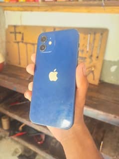 iPhone 12 non pta  64gb