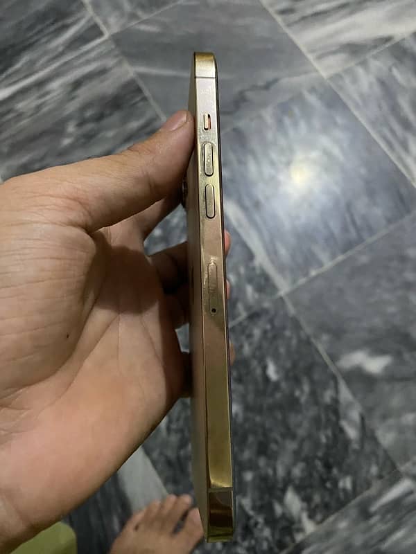 i phone 12 pro max 256 gb gold colour 80 health 10