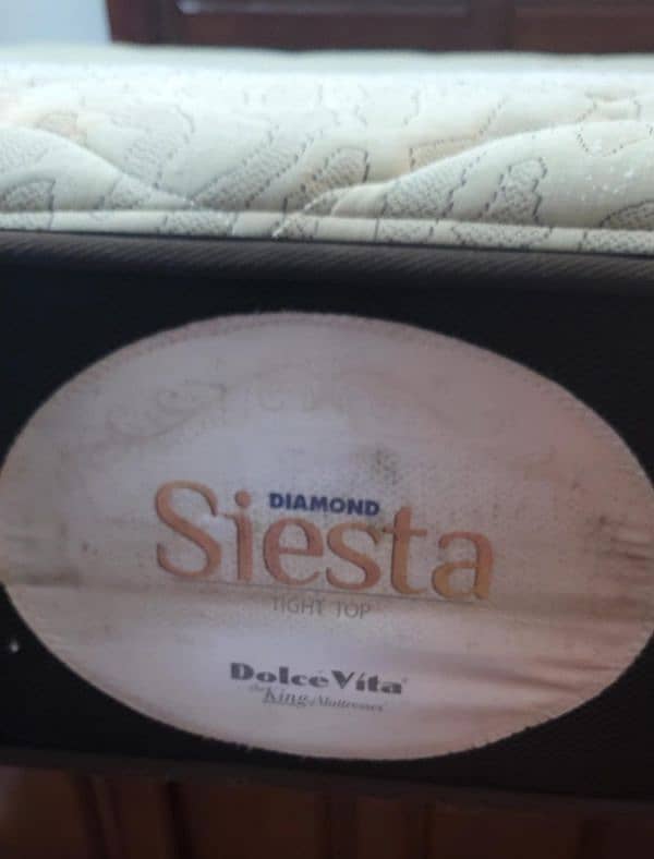 Diamond Dolce Vita Siesta Spring 3