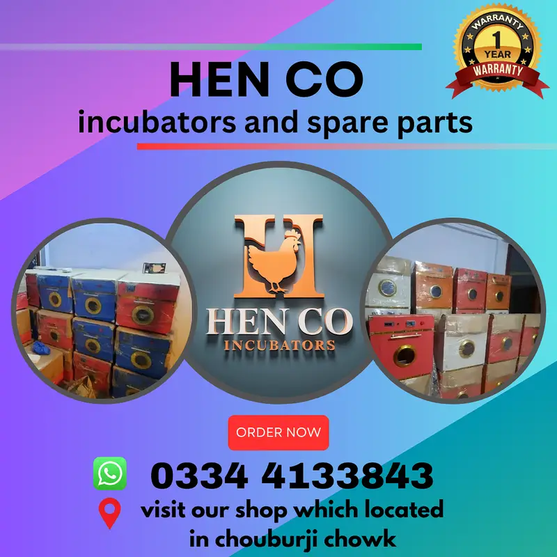Incubators |brooders for chicks|Incubator spare parts|Repairing center — photo 5
