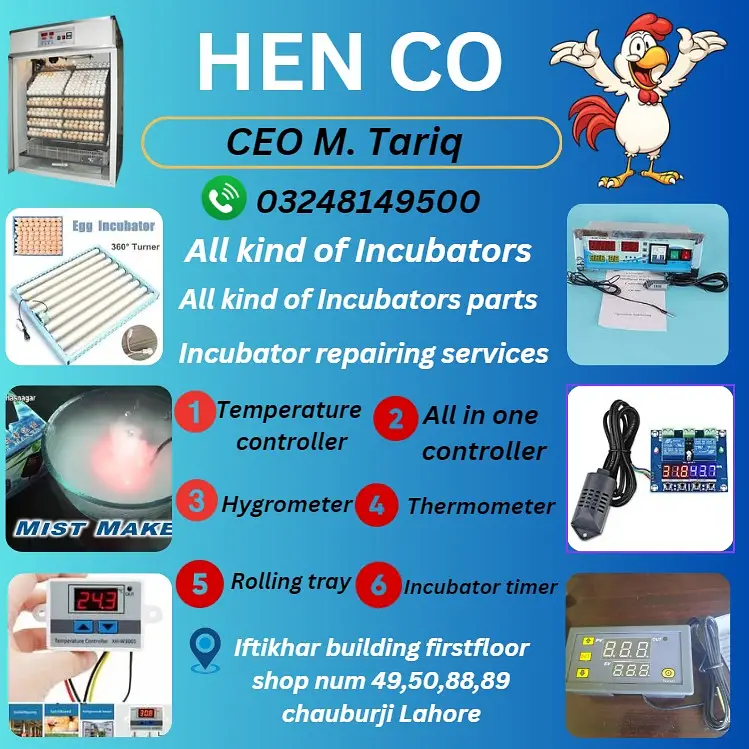 Incubators |brooders for chicks|Incubator spare parts|Repairing center — photo 7