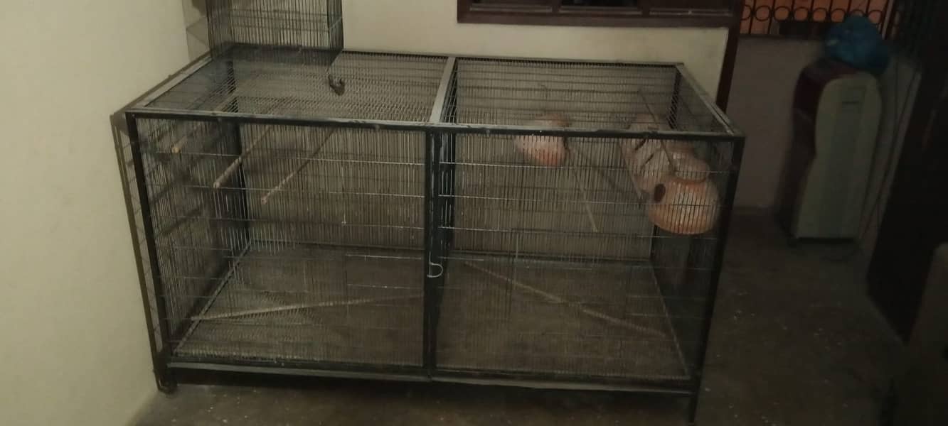 Birds Cage 1