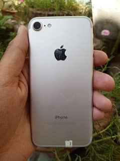 Iphone 7