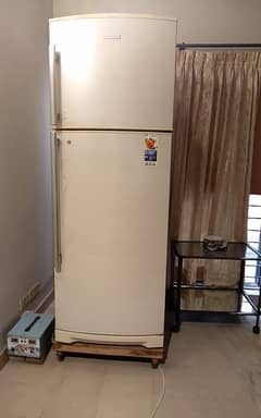 Electrolux fridge large size with huge capacity