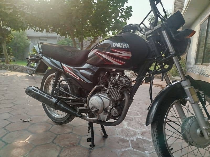 YB125Z for sale 3