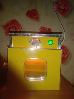 incubator for sale