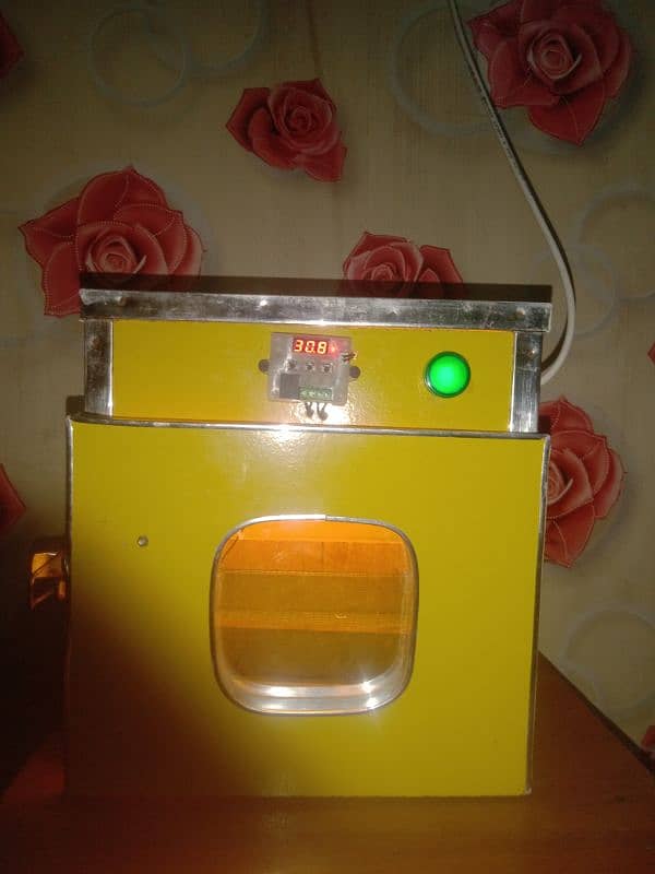 incubator for sale 0