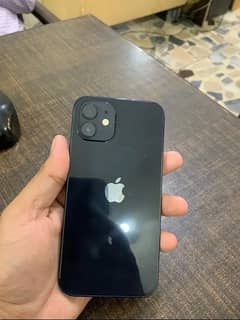 Iphone 12 pta approved