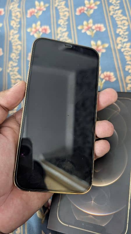 iphone 12 pro max 256gb 10/10 PTA approved 1