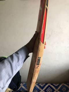 puma hardball bat