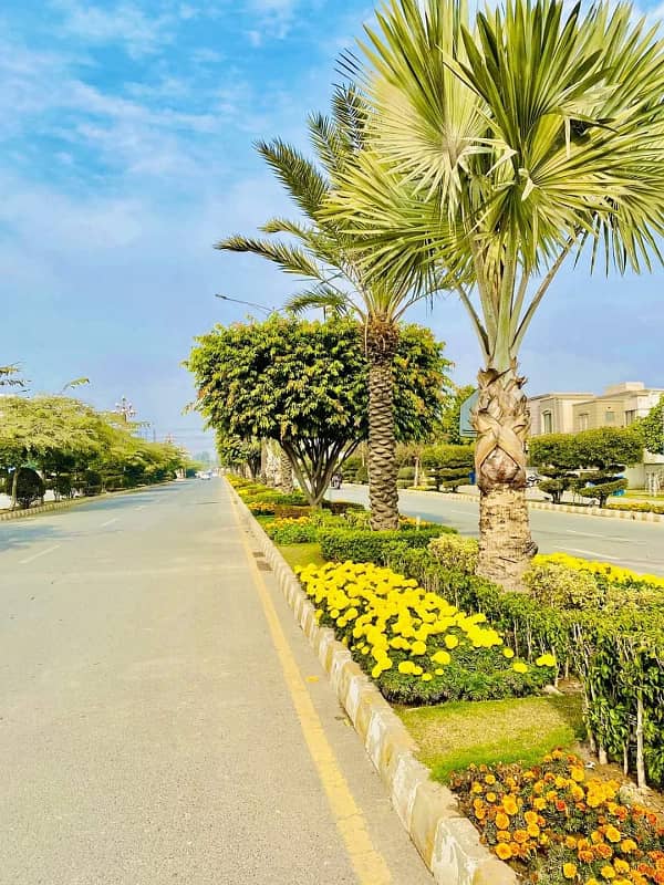 HOT LOCATION FACING PARK LOWER PORTION AVAILABLE FOR RENT IN  DREAM GARDENS  LAHORE. 8