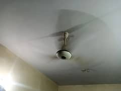 2 Ceiling fans